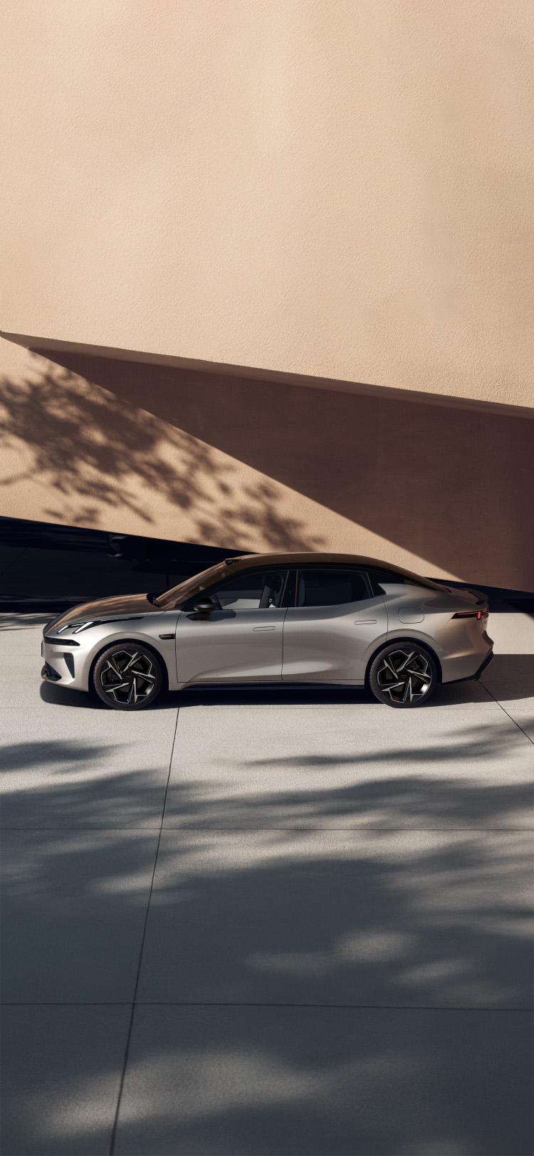 全新韦德网站官方入口07