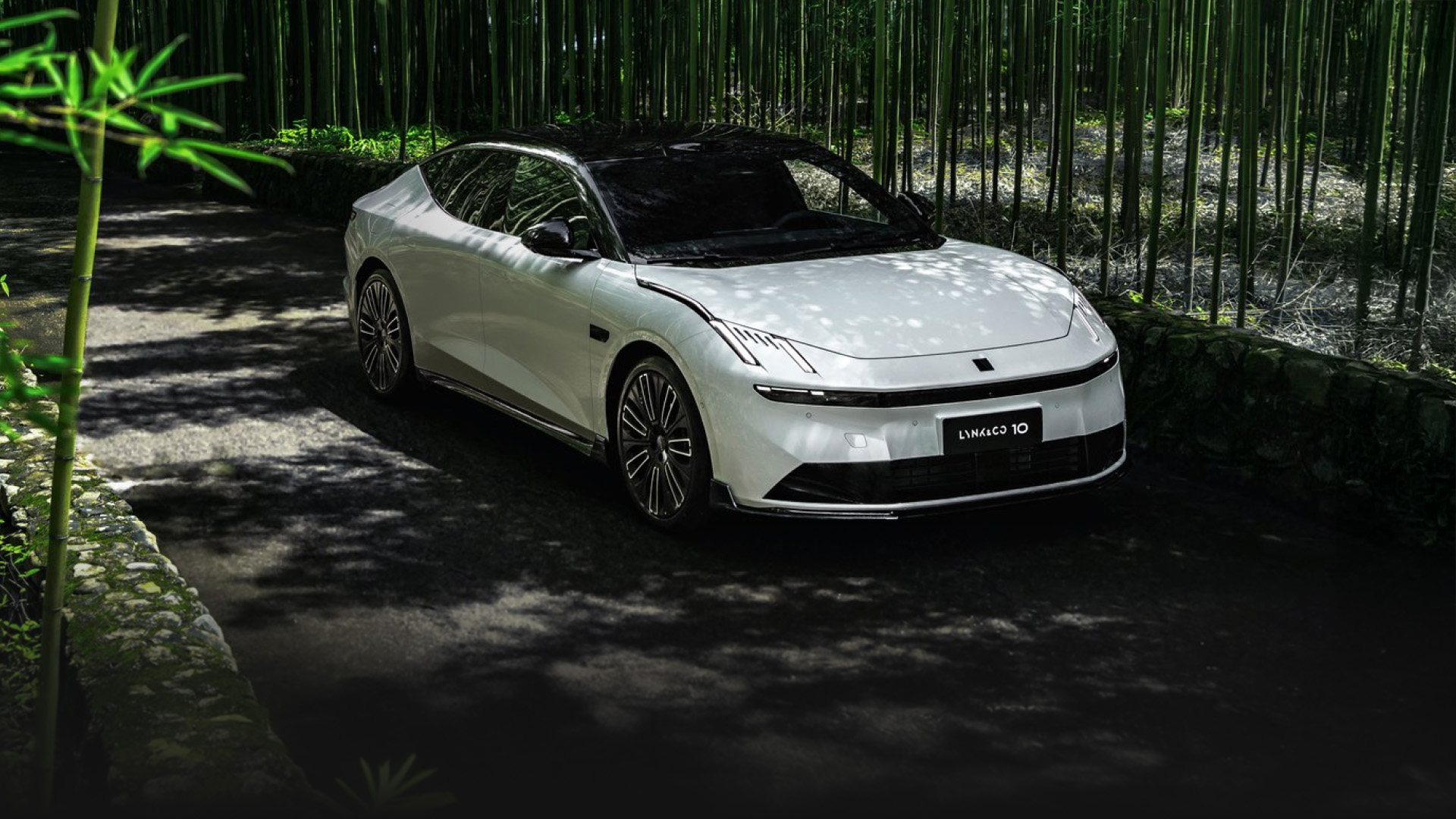 韦德网站官方入口10