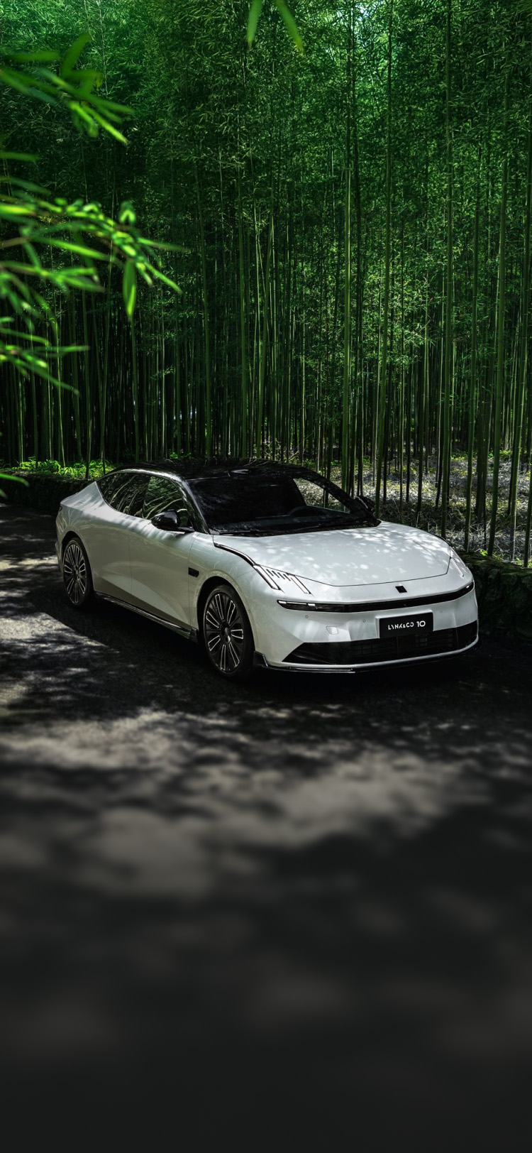 韦德网站官方入口10