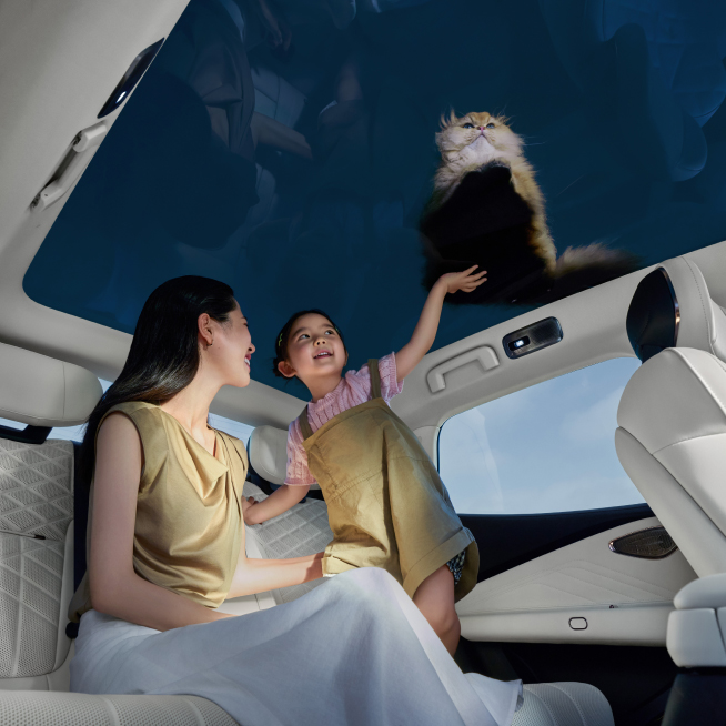 韦德网站官方入口10