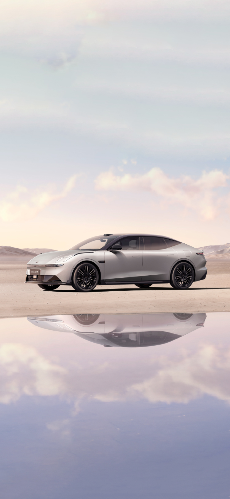 韦德网站官方入口10