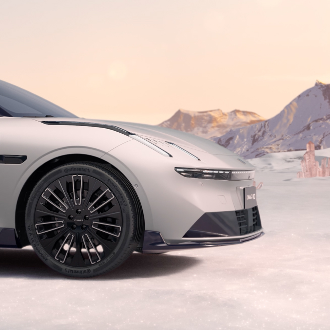 韦德网站官方入口10