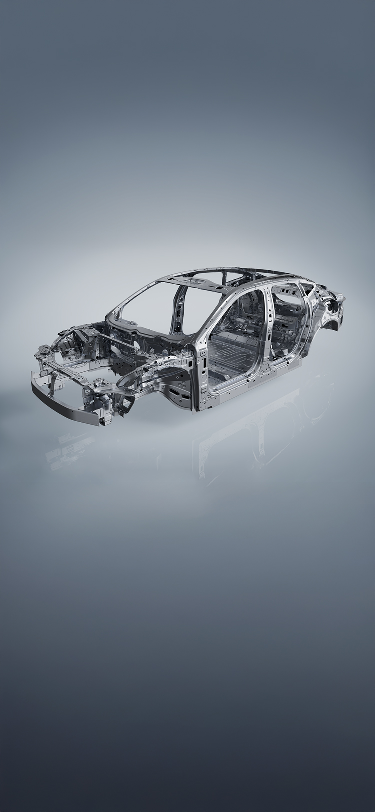 韦德网站官方入口10