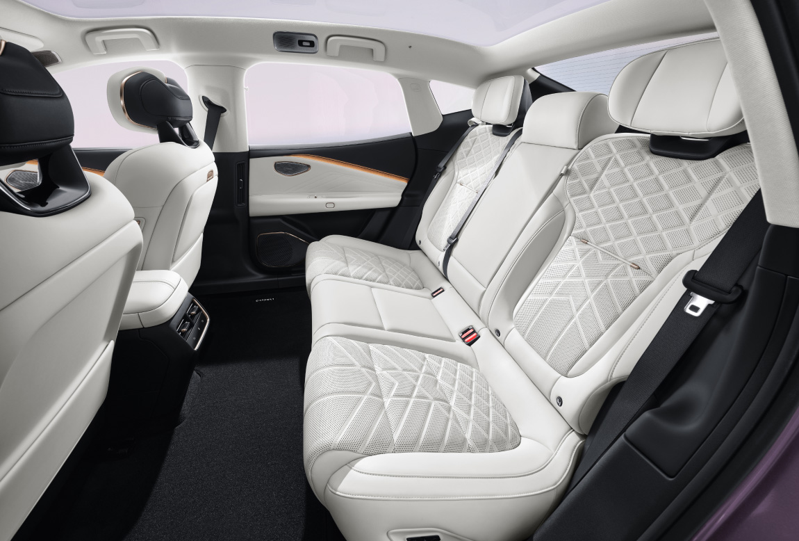 韦德网站官方入口10