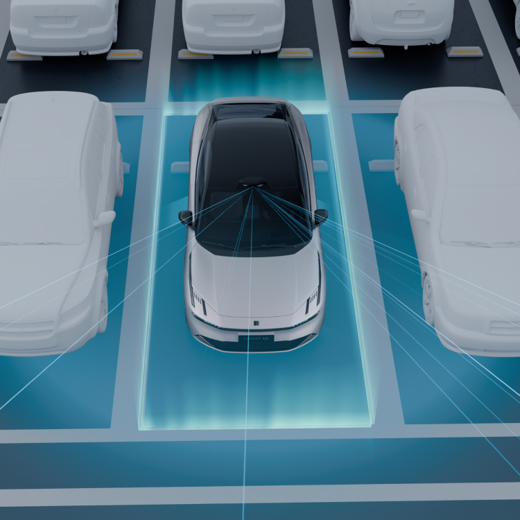 韦德网站官方入口10