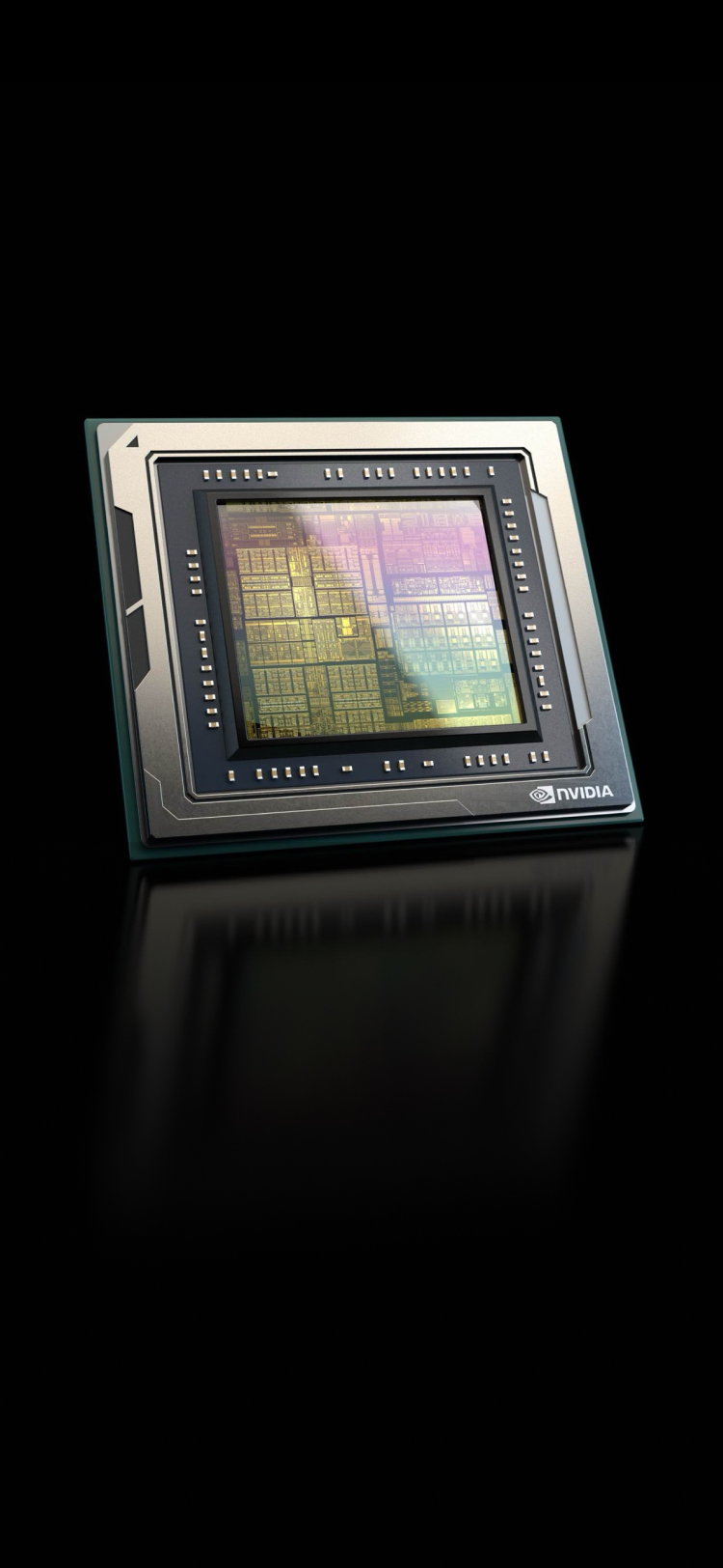 韦德网站官方入口10