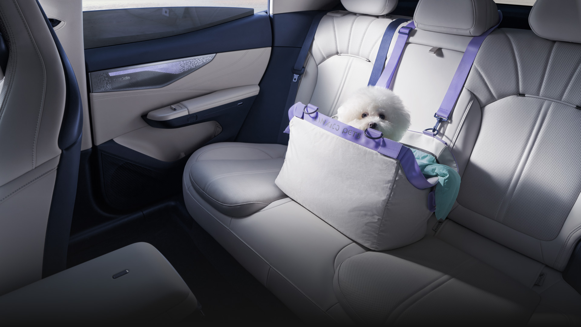 全新韦德网站官方入口07