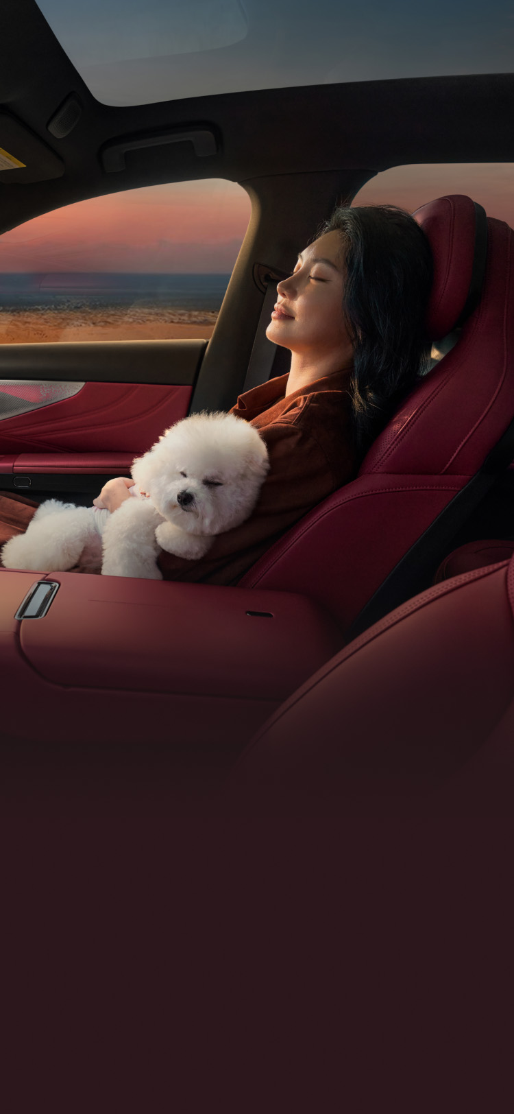 全新韦德网站官方入口07