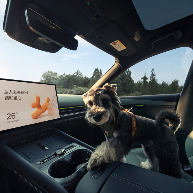�ڴ�ţ��APP-�����������·������ֻ� ��������Ӫ����һ
