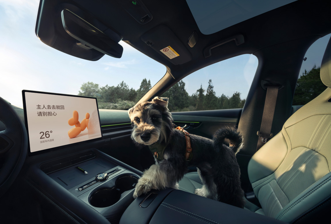 �ڴ�ţ��APP-�����������·������ֻ� ��������Ӫ����һ